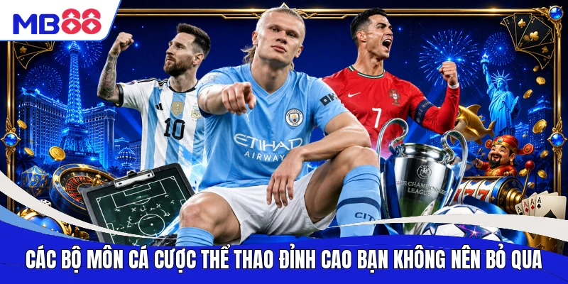 Các bộ môn cá cược thể thao đỉnh cao bạn không nên bỏ qua