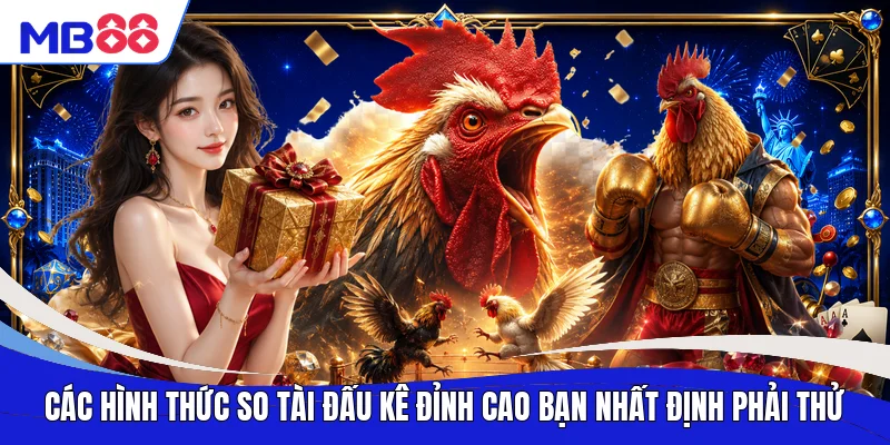 Các hình thức so tài đấu kê đỉnh cao bạn nhất định phải thử